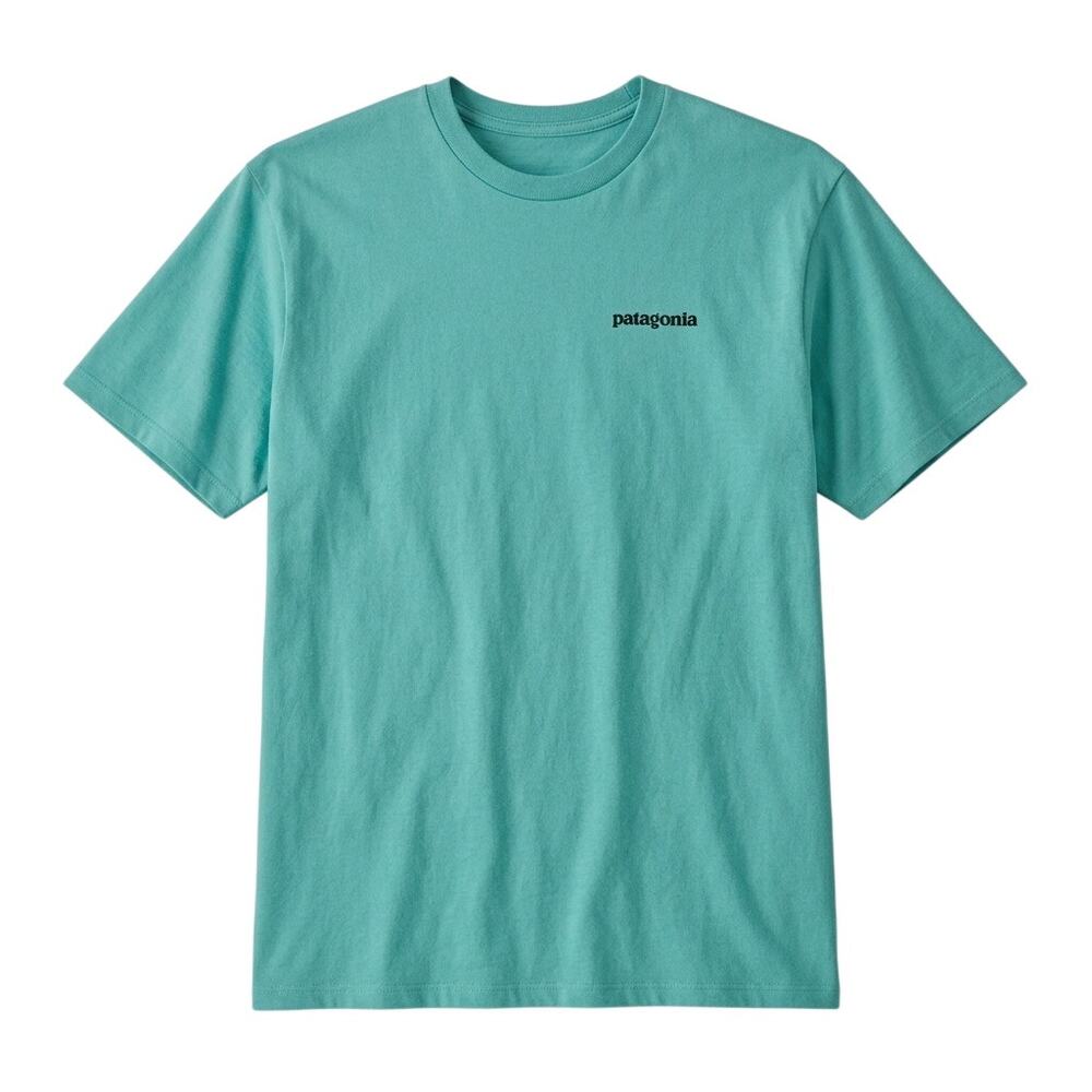 Patagonia Bison T-Shirt Men's Size Small